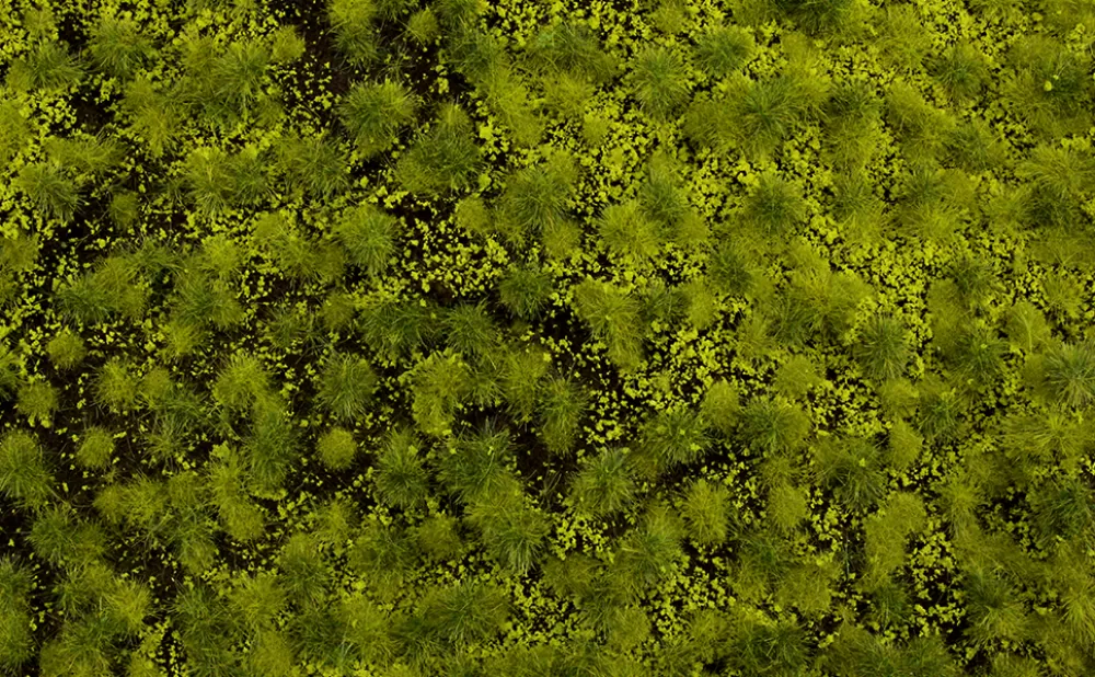 Grass Mats*Bachmann Trains Light Green Tufted Grass Mat (one 11.75" X 7.5" Sheet)