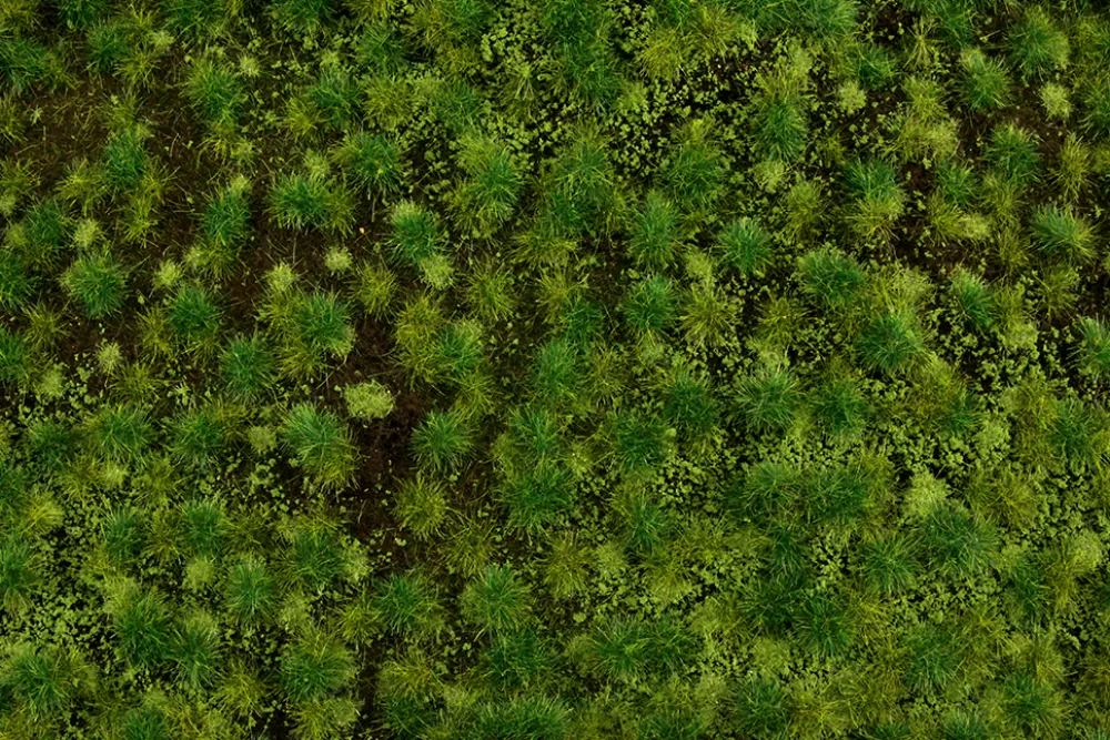 Grass Mats*Bachmann Trains Medium Green Tufted Grass Mat (one 11.75" X 7.5" Sheet)